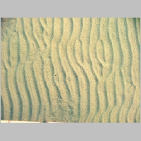 Sand waves 10.jpg